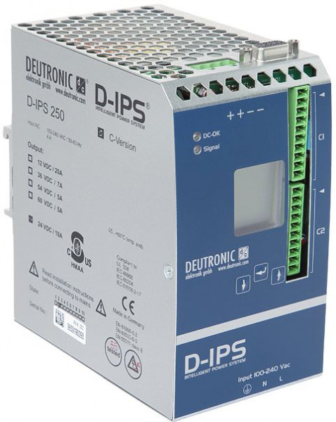 Abb. 1 (D-IPS250C-60)