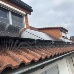 20251009_124614061_iOS