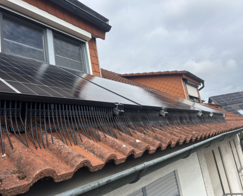 20251009_124614061_iOS