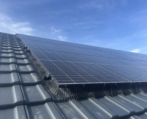 20251029_113639586_iOS